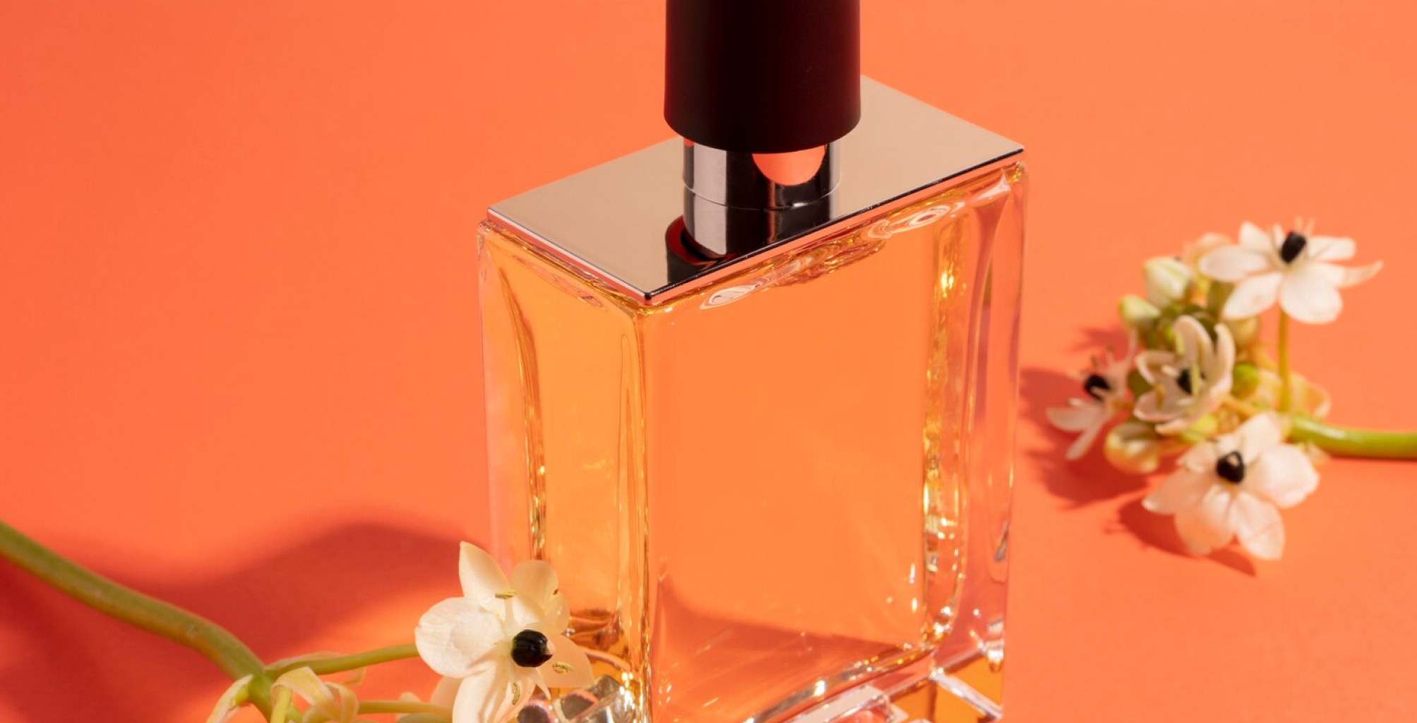Chyk fragrance grossiste en parfums